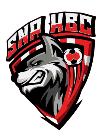 Saint Nicolas d Aliermont Handball Club