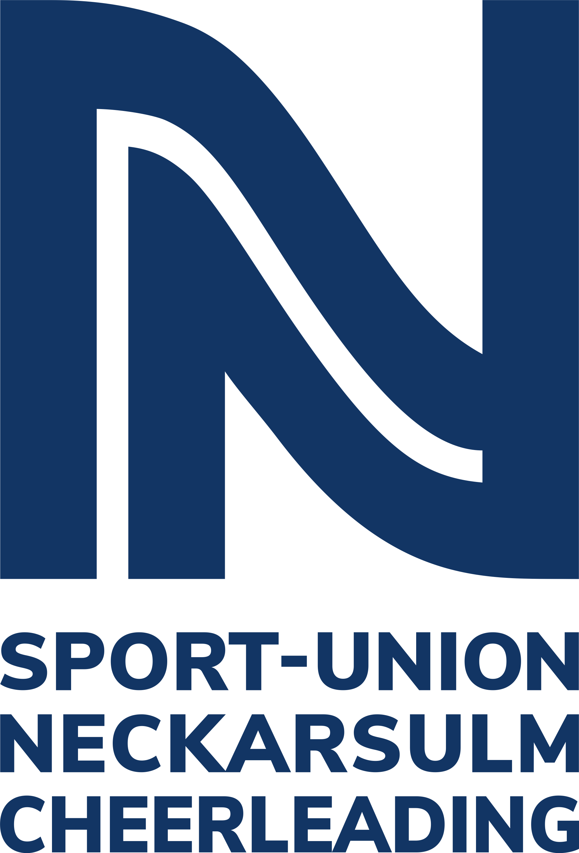 Sport-Union Neckarsulm Cheerleading