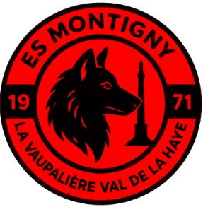 ES Montigny La Vaupalière Val de la Haye